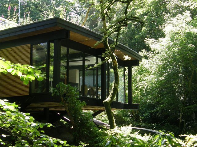 this self build home in cornwall sits amidst forest and and lush greenery and was designed by penk architecture
