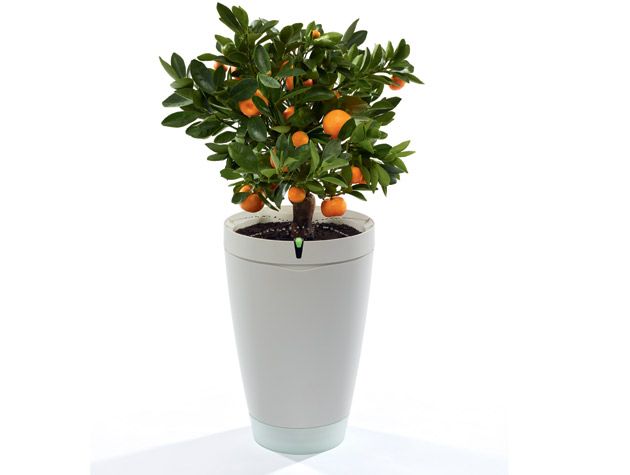 app connected plant pot