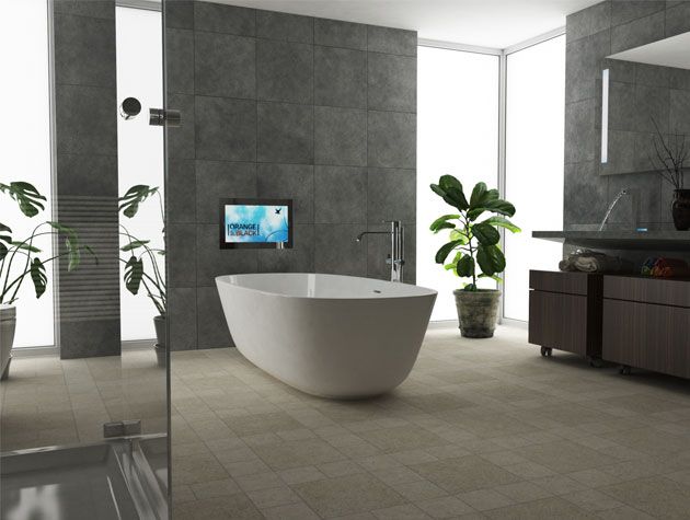 tv in bathroom above bath tub
