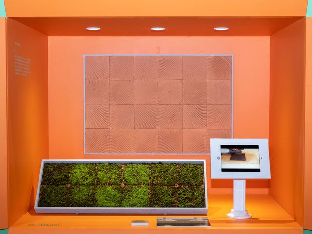 Poppy Pippin moss tiles as featured in Kevin McCloud's Green Heroes at grand designs live 2019 