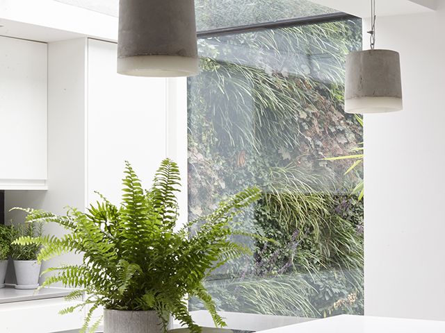 modern kitchen extension with exterior plant wall - luke arthur wells - grand designs