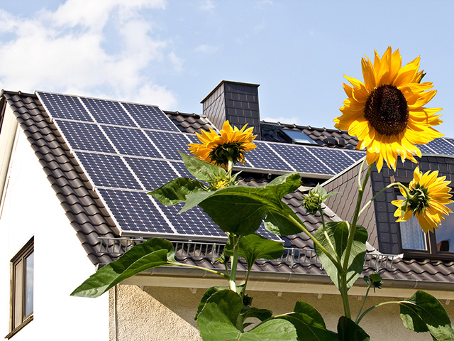 A bank of solar thermal panels on the pitched roof of a house. 