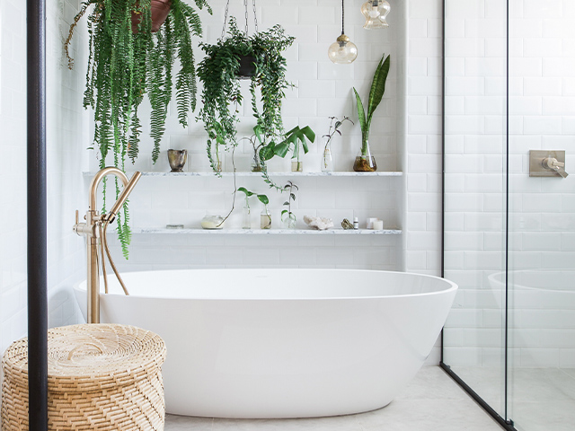 freestanding bath with gold floor-mounted tap in a spa bathroom with potted plants hanging from the ceiling 