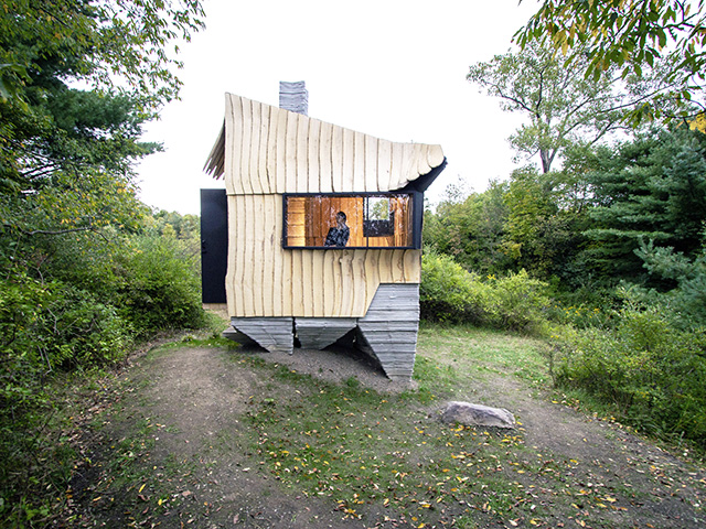 cabin made from beetle infested wood in new york - self build homes - grand designs