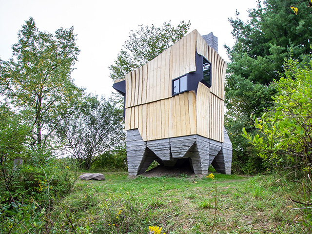 tiny cabin made from beetle infested wood - self build homes - grand designs