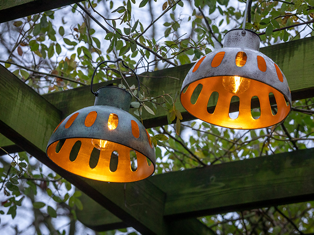 Solar iron lantern, £34.95 each, Sarah Raven