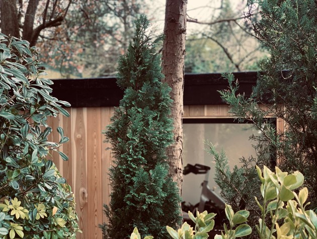 detail of garden room behind garden trees and bushes