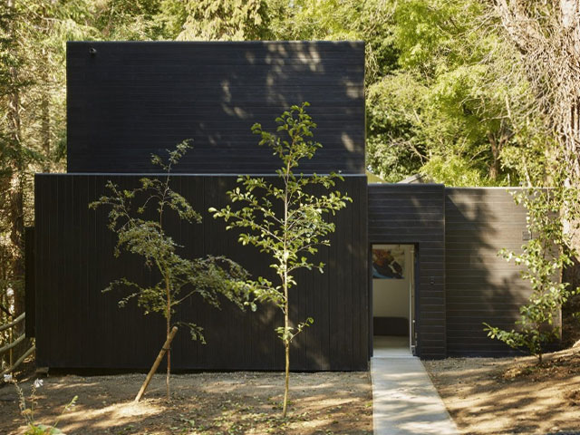 Essex woodland home - the Grand Designs Billericay 'bat box'