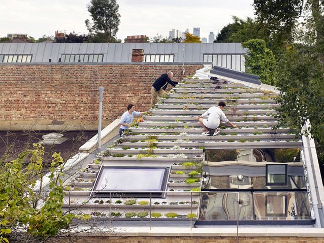 garden house with living roof being installed by specialists