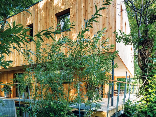 the Gloucestershire tree house surrounded by trees