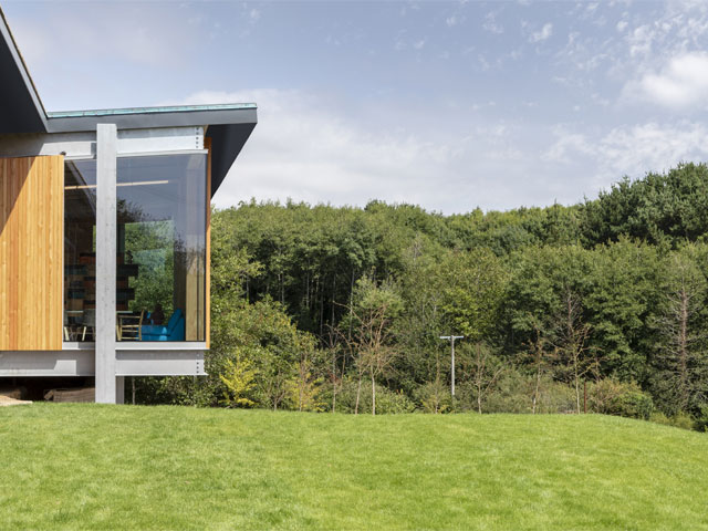 Modern Ferris Bueller-inspired house with woodland views