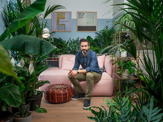 Oliver heath in houseplant hotel, joy of plants