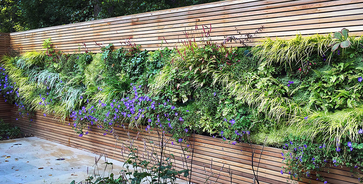 5 Things You Need To Know About Outdoor Living Plant Walls Grand Designs - Living Plant Wall Outdoor