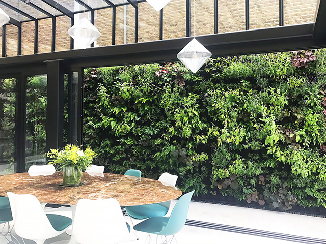 living plant wall outside of a modern dining room - grand designs - home improvements