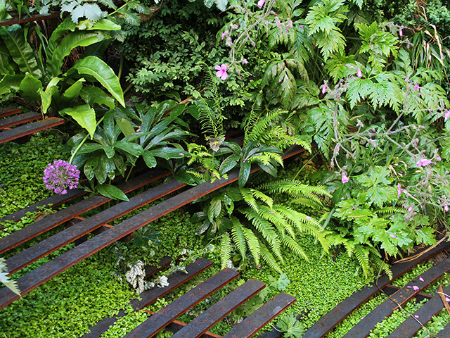 sloped garden with metal floating steps - home improvements - grand designs