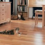 wooden floor in a family home with cats