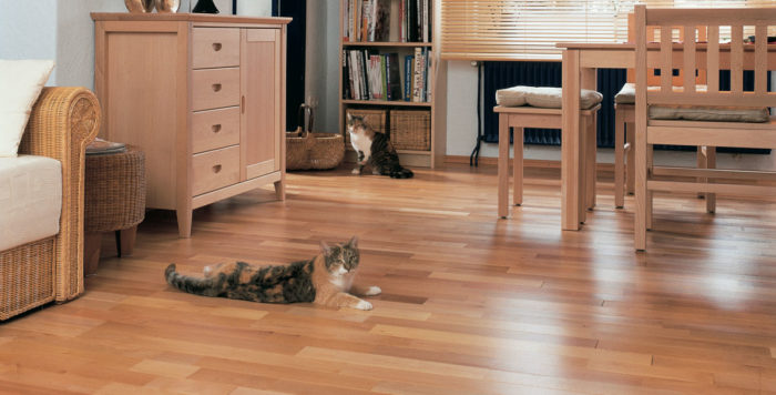 wooden floor in a family home with cats