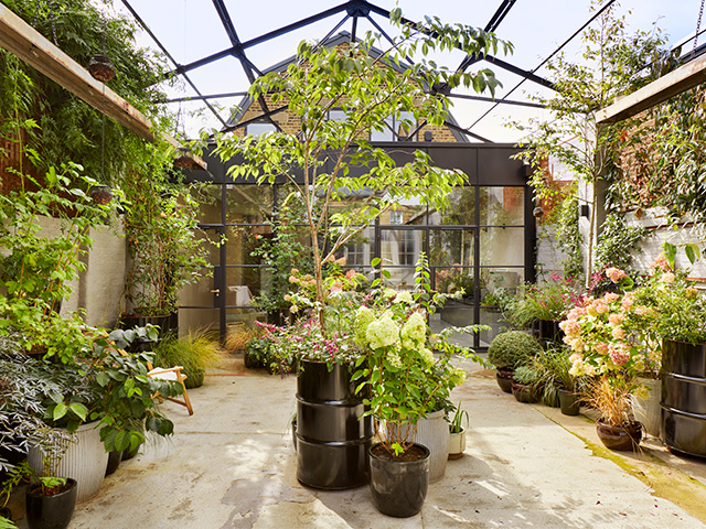 Grand Designs dairy in London with steel roof left in situ as pergola