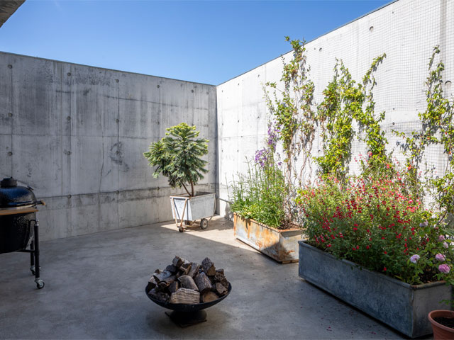 a concrete yard with concrete walls and floor plus planters with tall plants