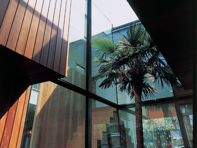 A central courtyard with tropical tree surrounded by glass 