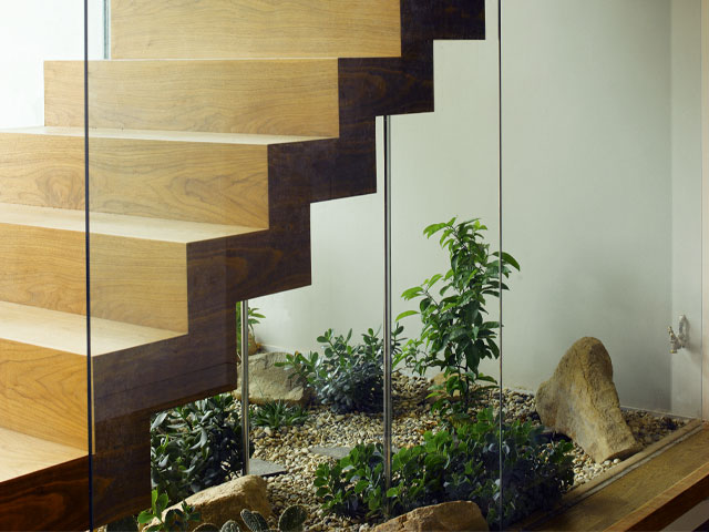 Indoor garden below a floating staircase from Grand Designs