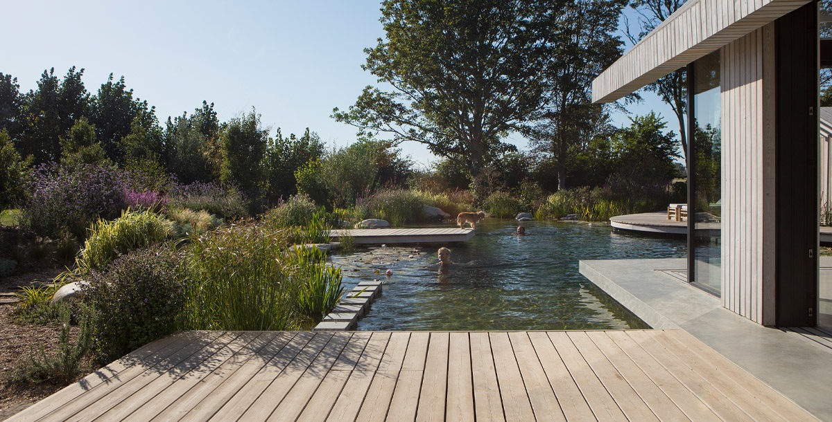 grand designs pond house in chichester with natural swimming pool