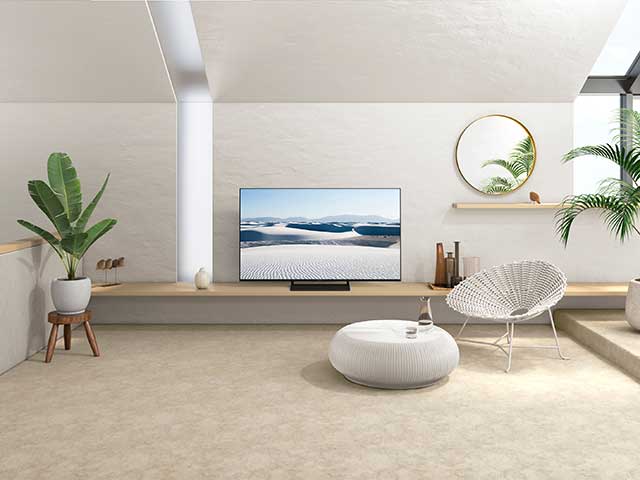 Panasonic 50 inch screen in cream living space with houseplants