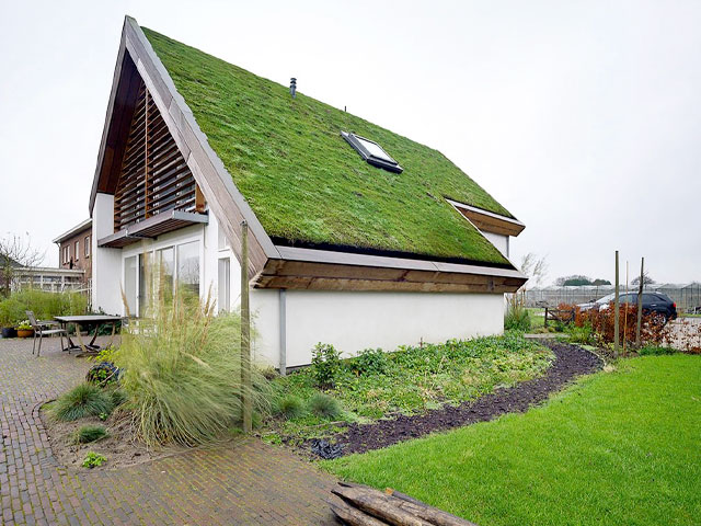 a green roof is a great way to achieve a more sustainable loft conversion