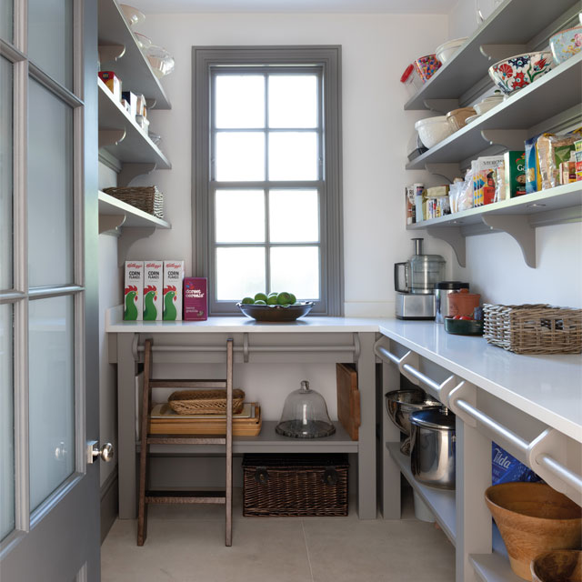 large walk-in larder with open shelves and ladder