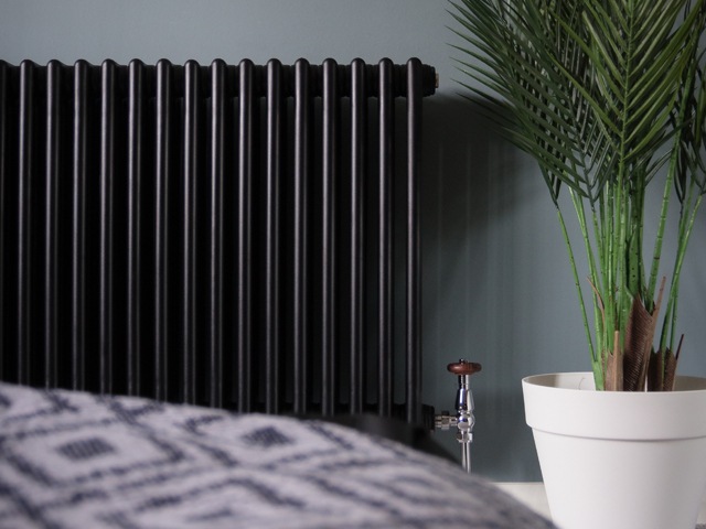 Contemporary radiator in black against a grey/green wall with tropical plant next to it 