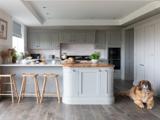 large dog in traditional kitchen designed with fitted pale grey cabinets and rounded kitchen island 