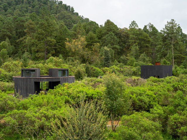 water self-sufficiency in a home on a nature reserve in Mexico