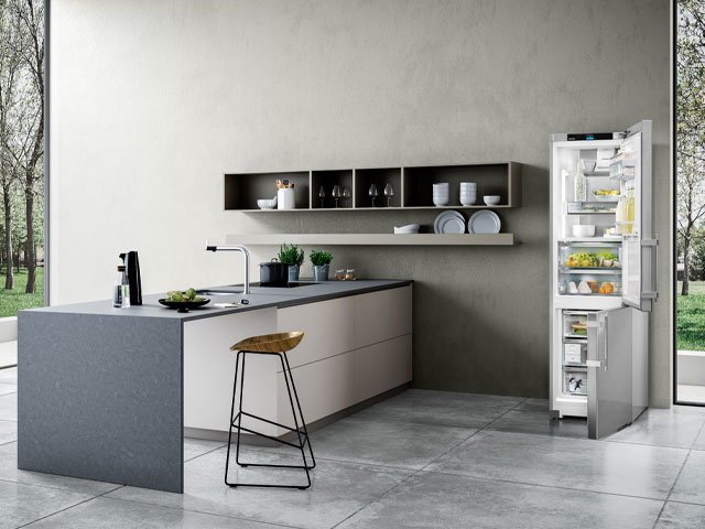 Biofrost-Liebherr-Fridge Kitchen Appliances