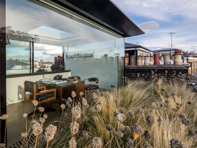 Wildflower covered roof deck in Notting Hill, London. Photo: Boundary Space