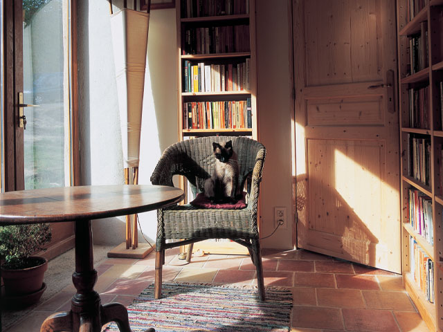 Cat in library in stately home wood table 