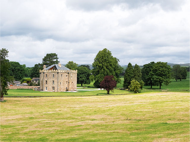 Open field castle trees