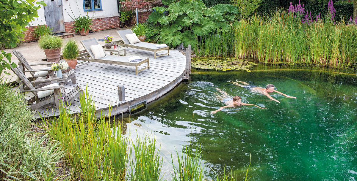 Swimming Ponds a buyers guide