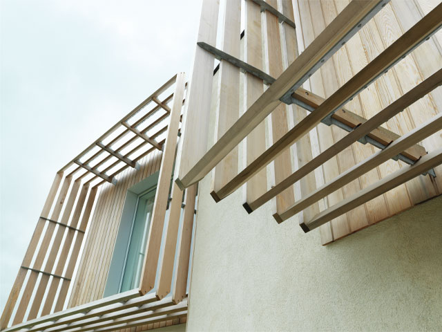 grand designs celia brackenridge