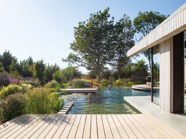 people in swimming ponds wooden decked area reeds and plants 