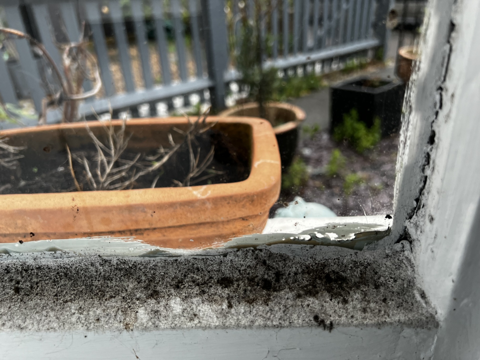 CONDENSATION ON WINDOWS AND WALLS 