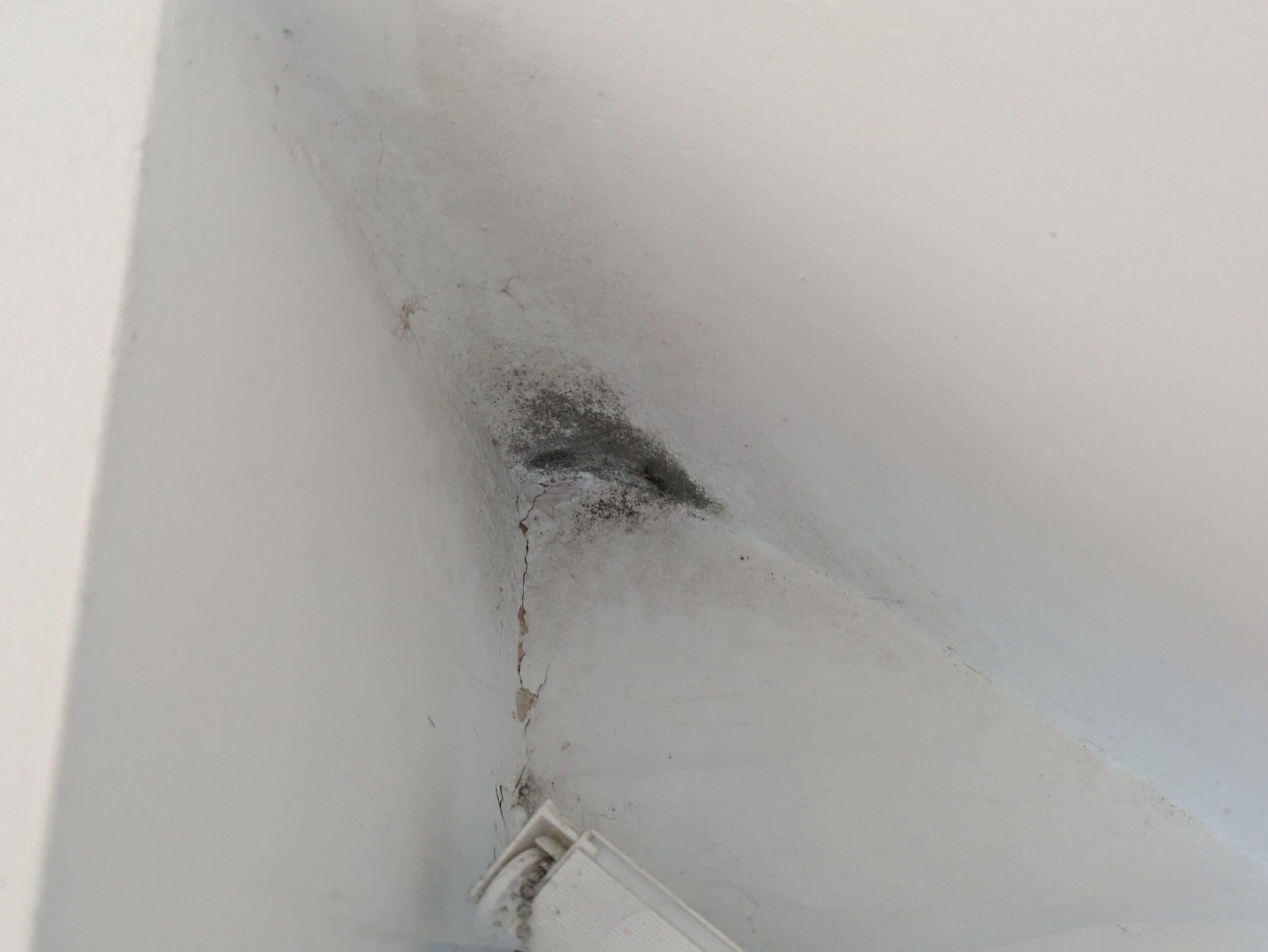 Photo showing black mould growing in a ceiling corner