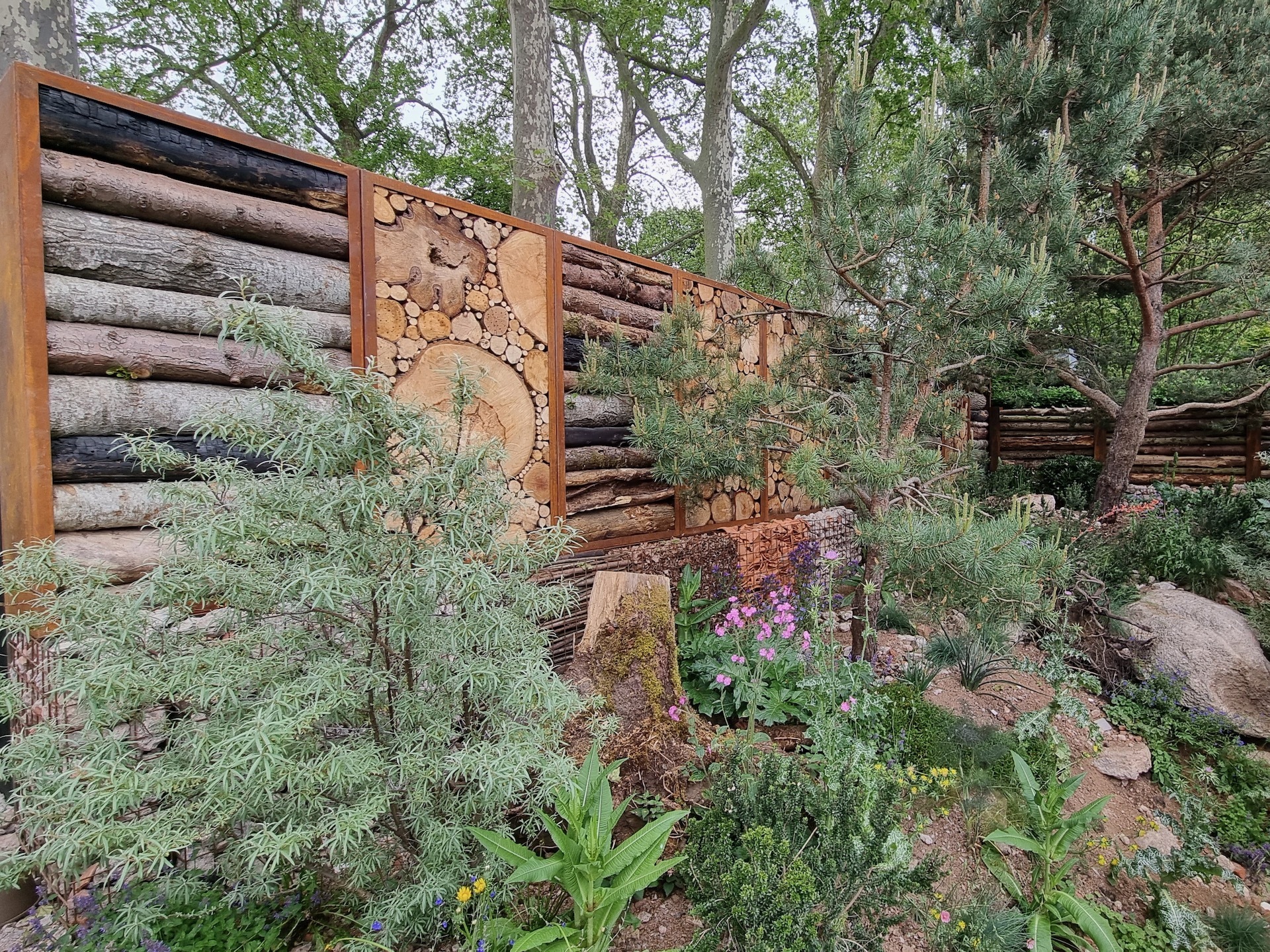 Tom Massey’s The Royal Entomological Society Garden at Chelsea Flower Show 2023