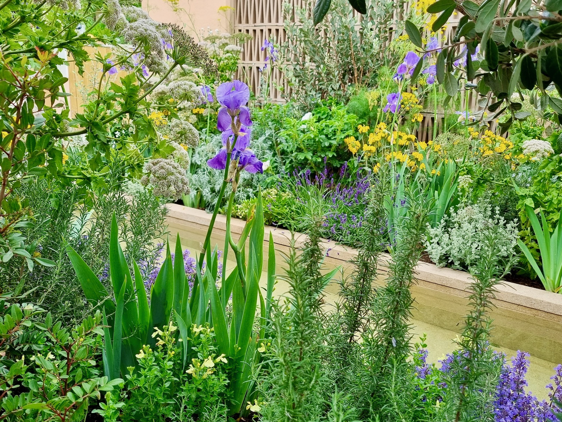 Garden raised bed with purple and yellow flowers