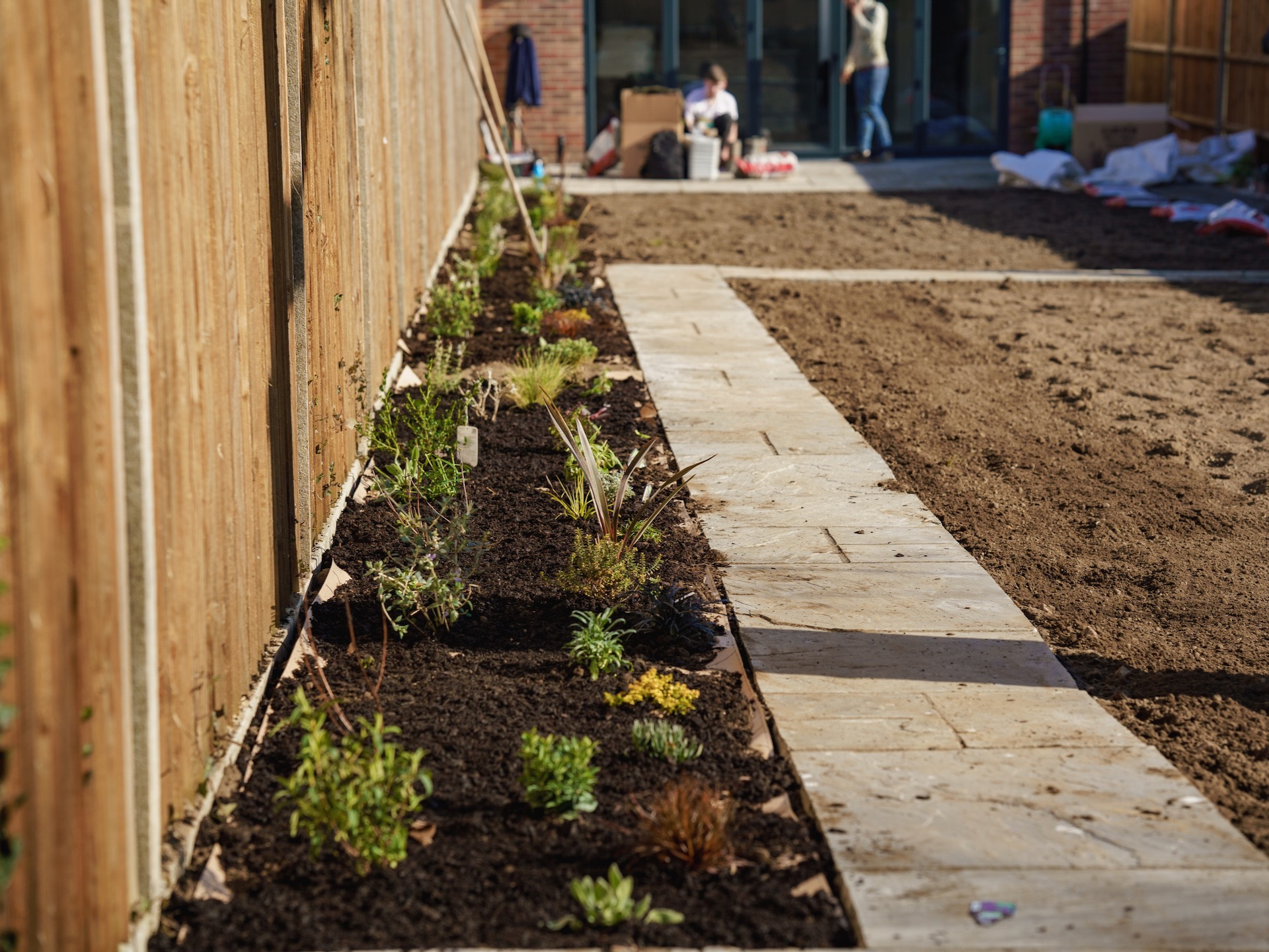 Newly landscaped garden with freshly planted bedding plants next to path