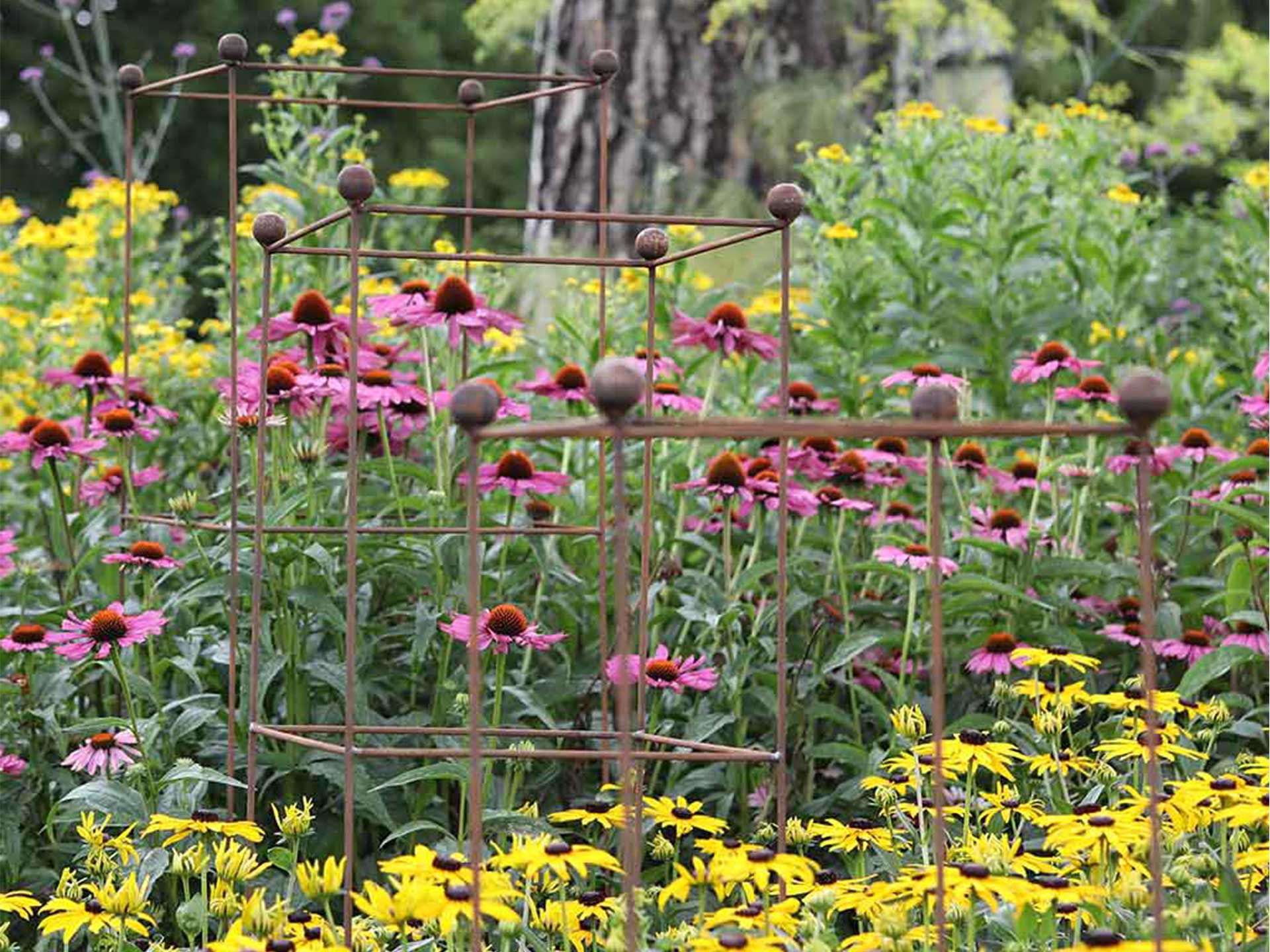 No digs gardens and edible planting is on the rise