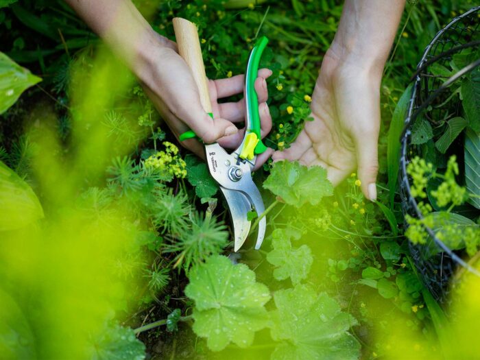 No-dig is a garden trend 2024 so lose the spades and forks