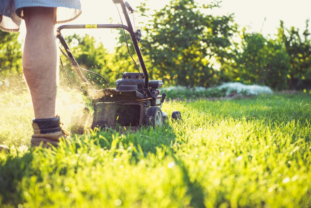 Restore your lawn after winter
