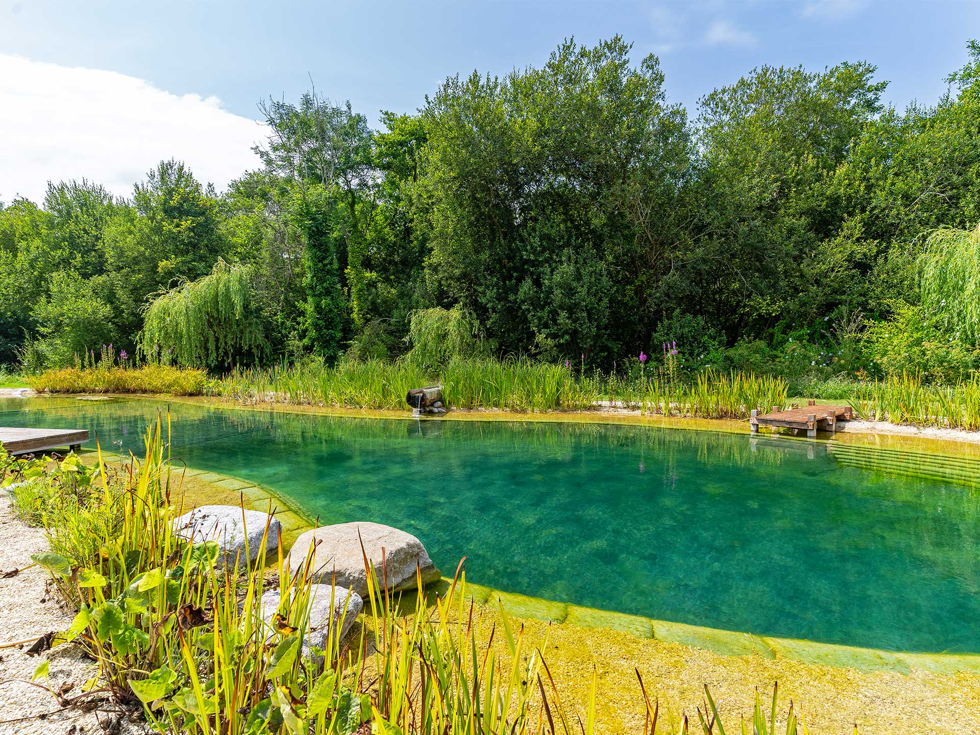 Unlike regular swimming pools, natural swimming pools don't use any chemicals