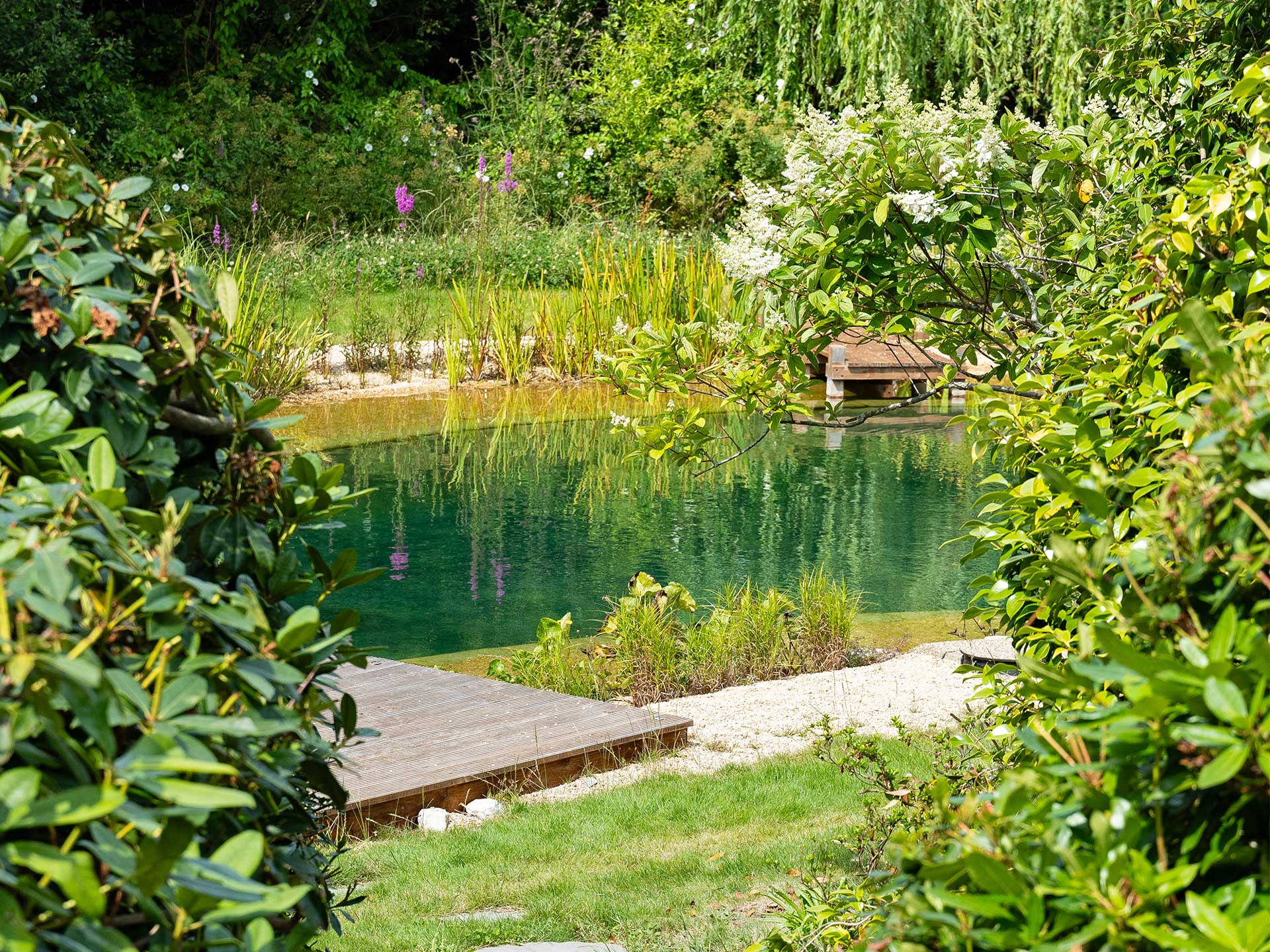 Create a secret hideaway in the garden with a natural swimming pond