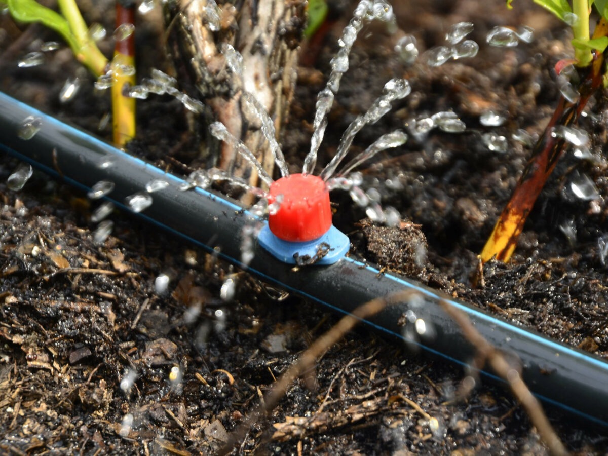 Automatic Irrigation Systems - Never Forget to Water Your Garden Again ...